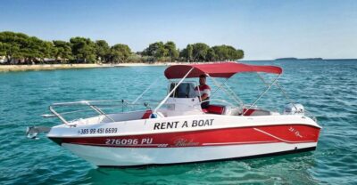 From Fazana: Private sunset dolphin tour - The Brijuni National Park stop: guided spotting plus a sunset photo moment